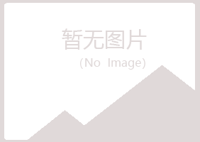 合山夏日咨询有限公司